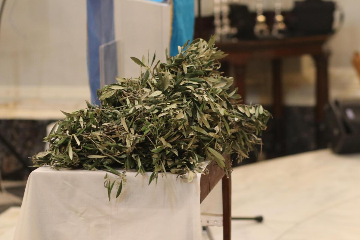 Palm Sunday 2025